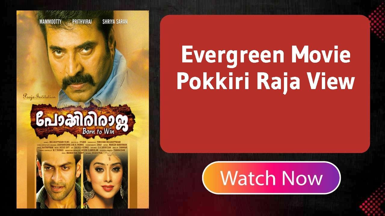 Pokkiri Raja